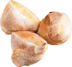 Panini Natur bestellen Wuppertal